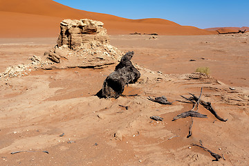 Image showing beautiful landscape of Hidden Vlei in Namib desert 