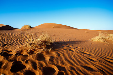 Image showing sand dunes at Sossusvlei, Namibia