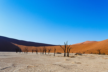 Image showing beautiful landscape of Hidden Vlei in Namib desert 