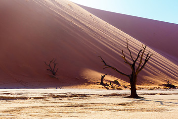 Image showing beautiful landscape of Hidden Vlei in Namib desert 