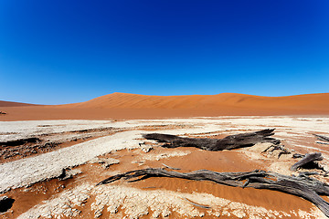 Image showing beautiful landscape of Hidden Vlei in Namib desert 