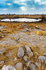 Image showing Empty waterhole in namibia game reserve