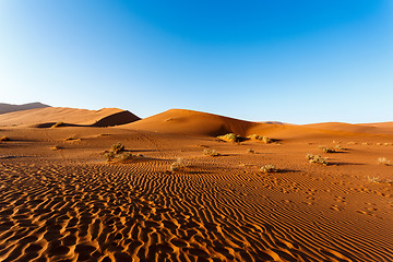 Image showing sand dunes at Sossusvlei, Namibia