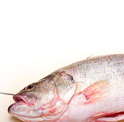 Image showing fresh whole raw fish