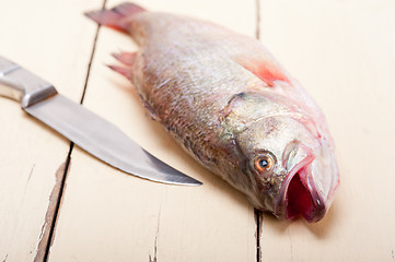 Image showing fresh whole raw fish