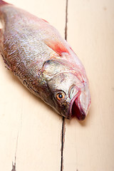 Image showing fresh whole raw fish