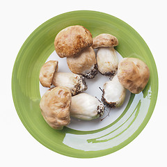 Image showing Porcini Mushroom