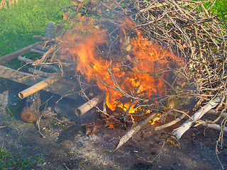 Image showing Burning fire