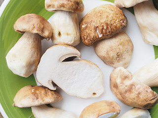 Image showing Porcini Mushroom