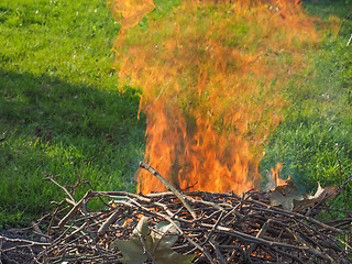 Image showing Burning fire