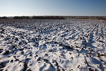 Image showing Snowy field