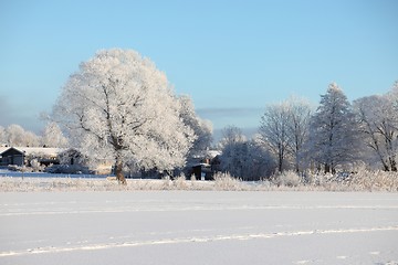 Image showing Frozen lake