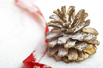 Image showing pine cone on the snow