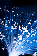 Image showing Fibre optic cables