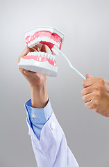 Image showing Dentist hold with denture and toothbrush