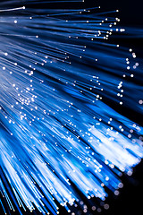 Image showing Optical fiber