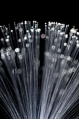 Image showing Fiber optic