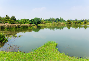 Image showing Fish hatchery pond 