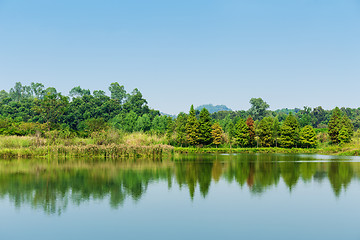 Image showing Wetland