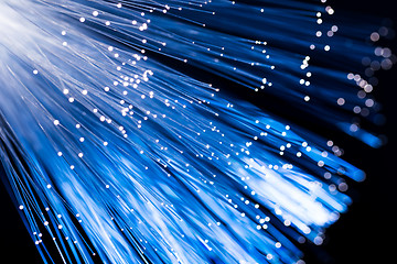 Image showing Optical fiber