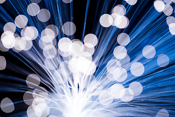 Image showing Blue fibre optics