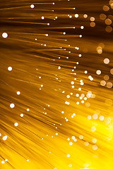 Image showing Golden glowing fibre optic