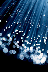 Image showing Blue fiber optic