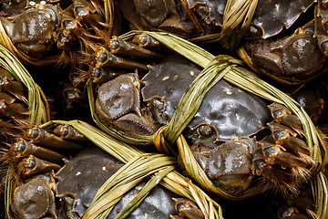 Image showing Shanghai crabs