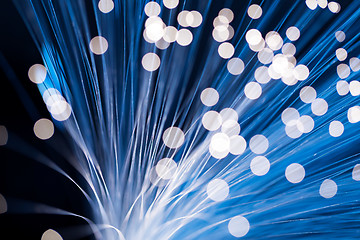 Image showing Optical fiber 