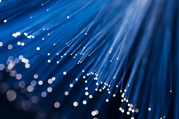 Image showing Blue fiber optics