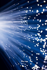 Image showing Blue fibre optic strands