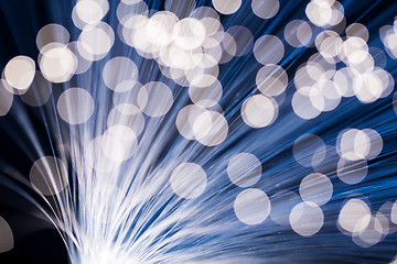 Image showing Optical fibres 