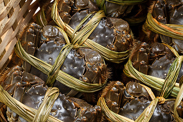 Image showing Group of autumn seasonal hairy crabs