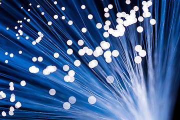 Image showing Optical fiber