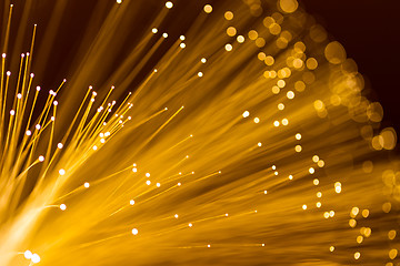 Image showing Yellow fiber optics cable