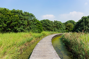 Image showing Wooden path in forest