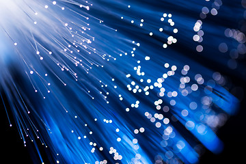 Image showing Optical fiber in blue color