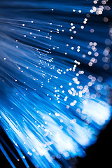 Image showing Blue fiber optics