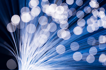 Image showing Blue fiber optics