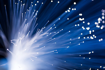 Image showing Optical fiber 