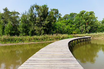 Image showing Bridge with lake and plants