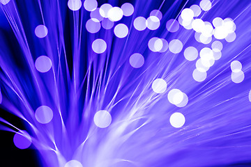 Image showing Optical fibers bright colors 