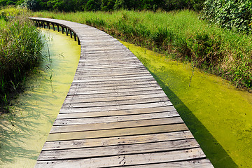 Image showing Wooden foot bridge 