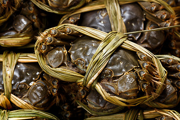 Image showing Hairy crabs