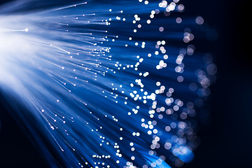 Image showing Blue fiber optics