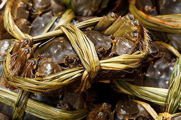 Image showing Hairy crabs in China