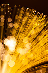 Image showing Golden glowing fibre