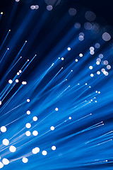 Image showing Blue Fiber Optic Strands 