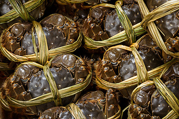 Image showing Hairy crabs in china