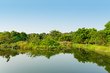 Image showing Wetland with blue sky